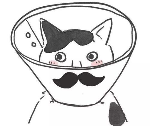 猫咪意外急救法,猫咪尾巴受伤怎么处理伤口