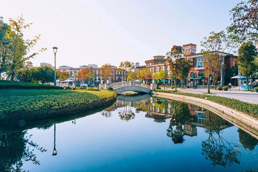 sw入门款,sw值得买么