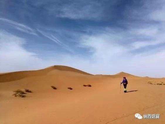 叶紫被雷劈穿越到异界,关于叶紫的穿越小说