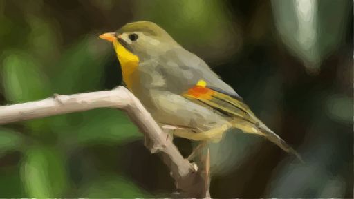 简单易上手的作图软件,小白也能轻松上手的作图神器