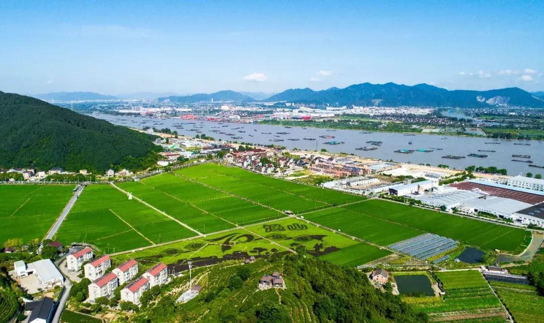 震撼！钱塘江畔出现巨型画作，有28个足球场这么大！