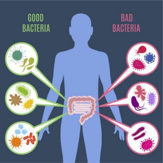 怎样选择益生菌产品,益生菌选择指标