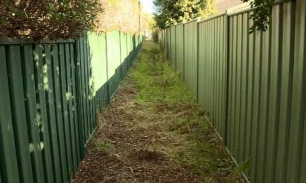 悉尼一不到3米宽土地以6.9万澳元出售!拍卖广告:请充分发挥你的想象力