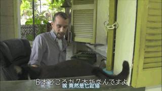 大家都在争抢猫爪杯？吸猫的最高境界，带着摄影机“猫步走天下”