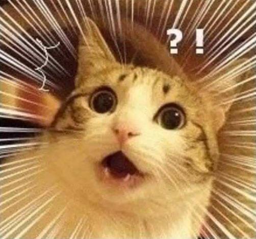 恒大新球场设计被曝,广州恒大球场设计