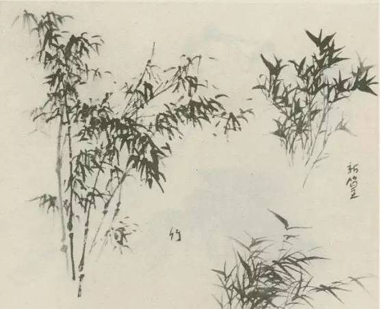 画树教程,怎么画树好看又超级简单