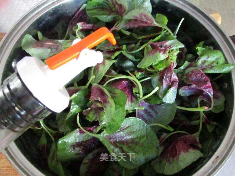 半斤苋菜含多少草酸,一两苋菜一两金啥意思