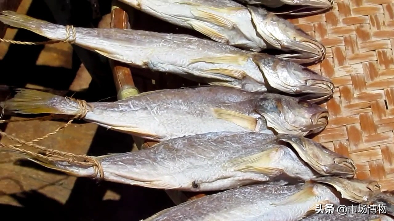 香港咸鱼品种,香港咸鱼