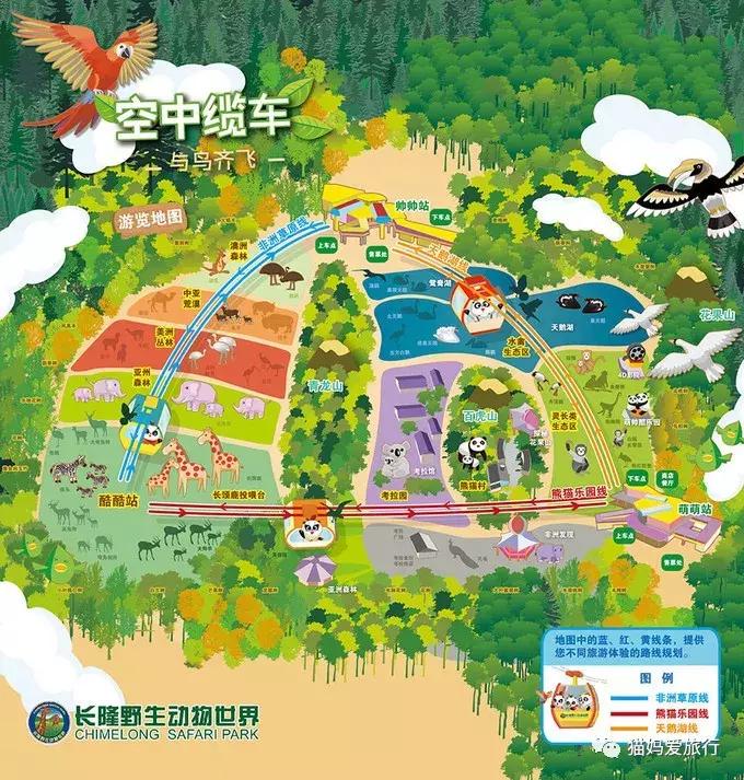 广州长隆野生动物园全程步行攻略,2天游玩广州长隆野生动物园攻略