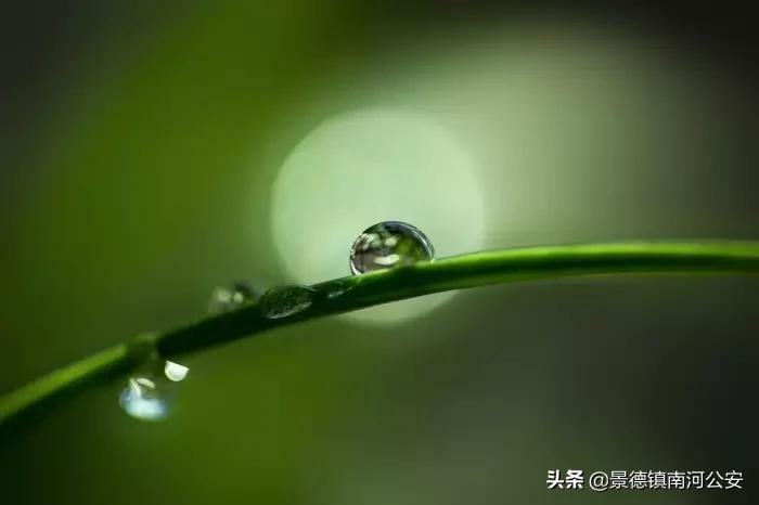 诗词大全五言绝句,50首绝美五言绝句哪句最打动你