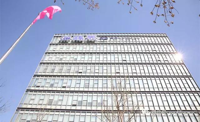 海鸥潜水表青铜,海鸥手表真好看