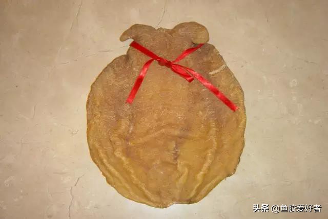 鱼胶冻的保质期,鲜炖鱼胶保质期