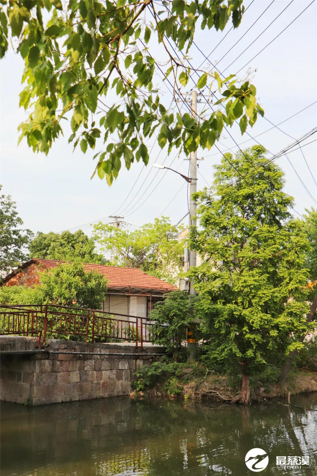 慈溪打听猫,慈溪要搬迁的村庄