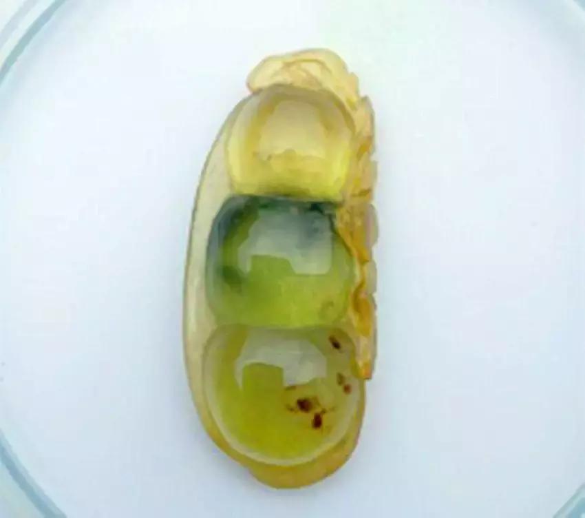 最全的假翡翠合集别再上当了,很透亮的翡翠基本都是假的