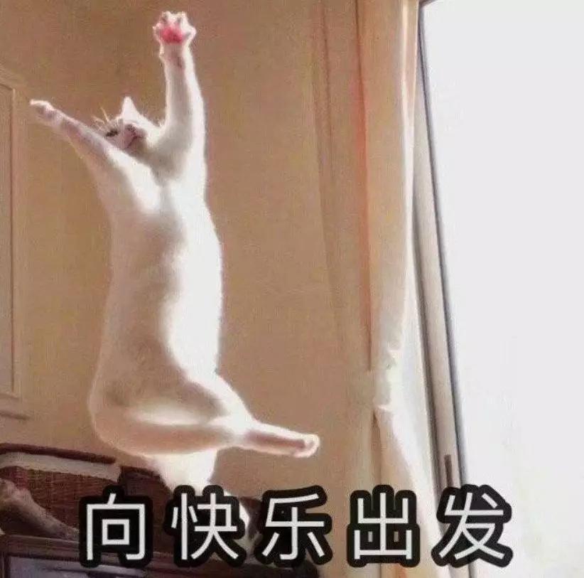 盘点哪些好评到爆的游戏,口碑炸裂的六款游戏容易让你上瘾