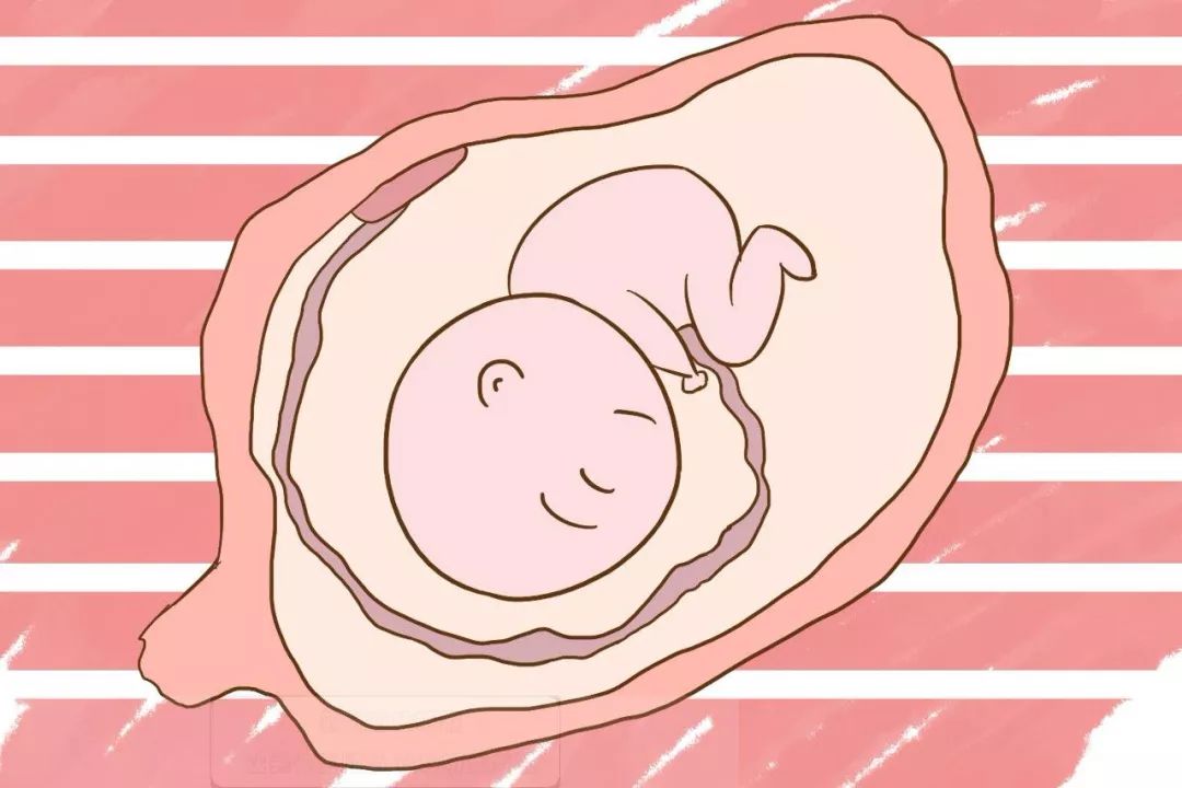 胎盘有人吃吗,胎盘吃了对身体有益吗