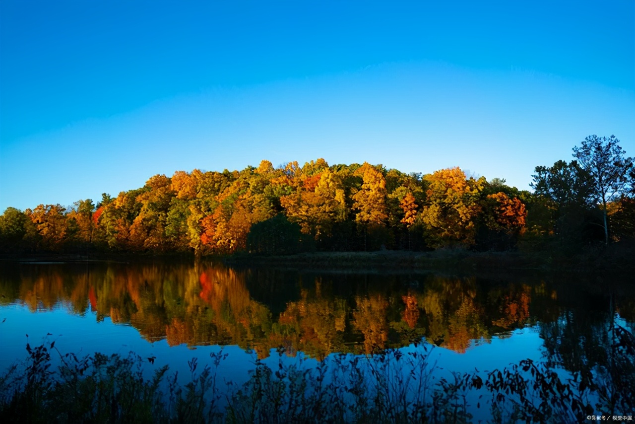 如何申请北大光华管理学院mba,北大光华康奈尔双学位项目