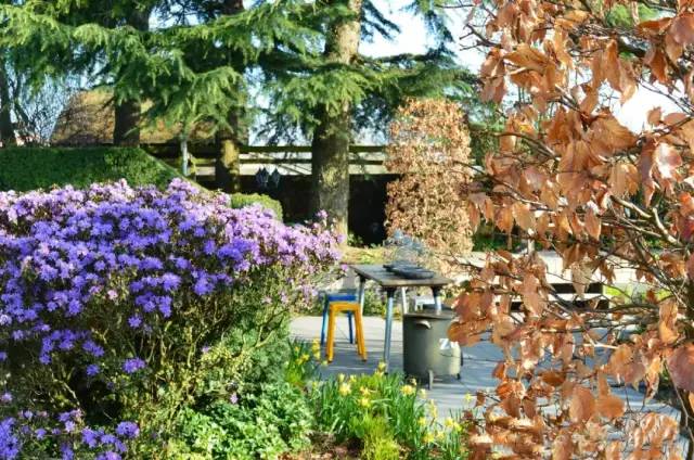 荷兰花海最值得一去的是哪里,荷兰最大花卉公园