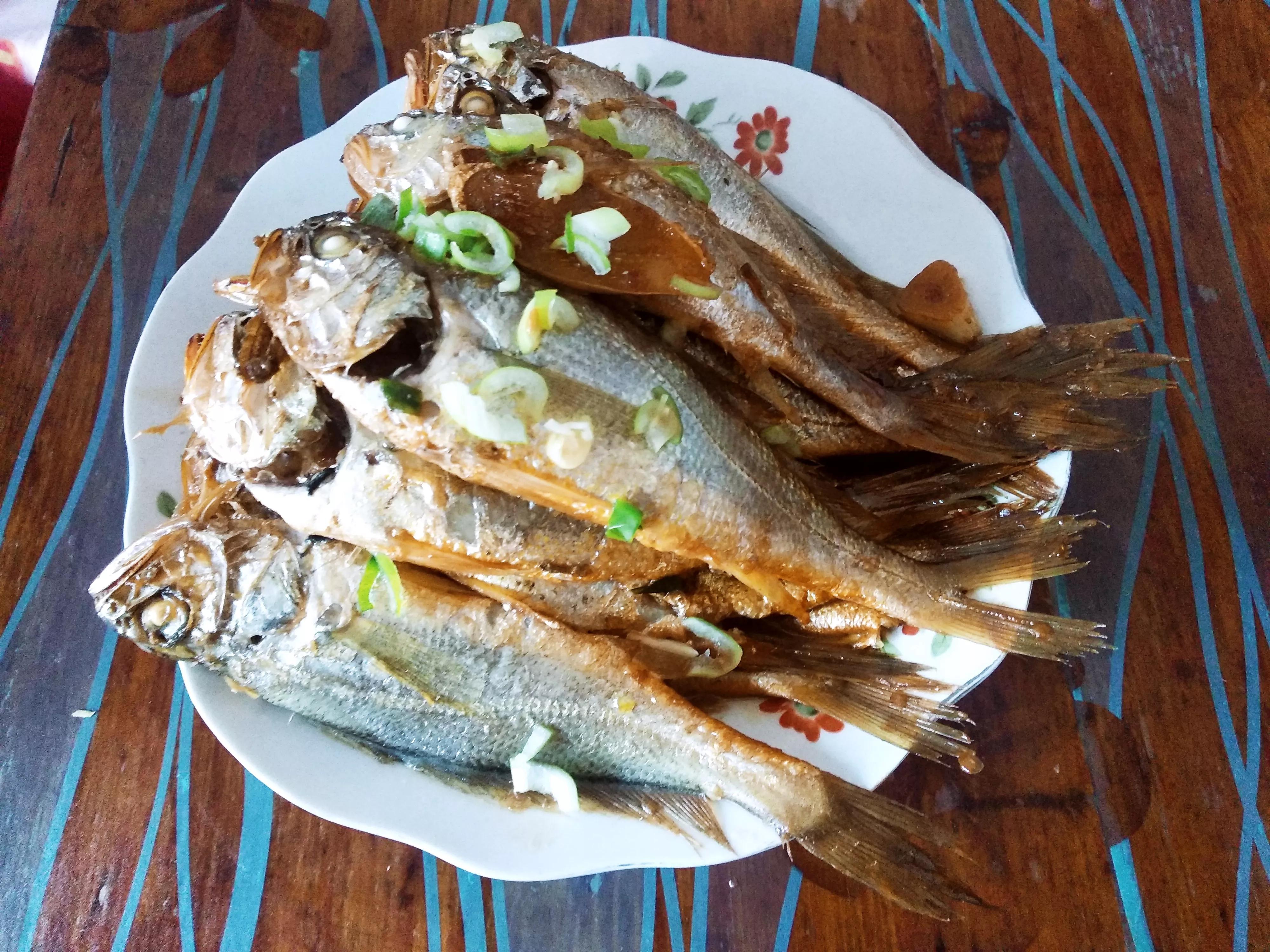 中国常见的十种海鱼类,冬天常见的海鱼