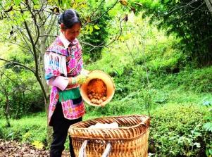 云南禄丰旅游线路攻略图,云南冬季自驾游最佳线路图