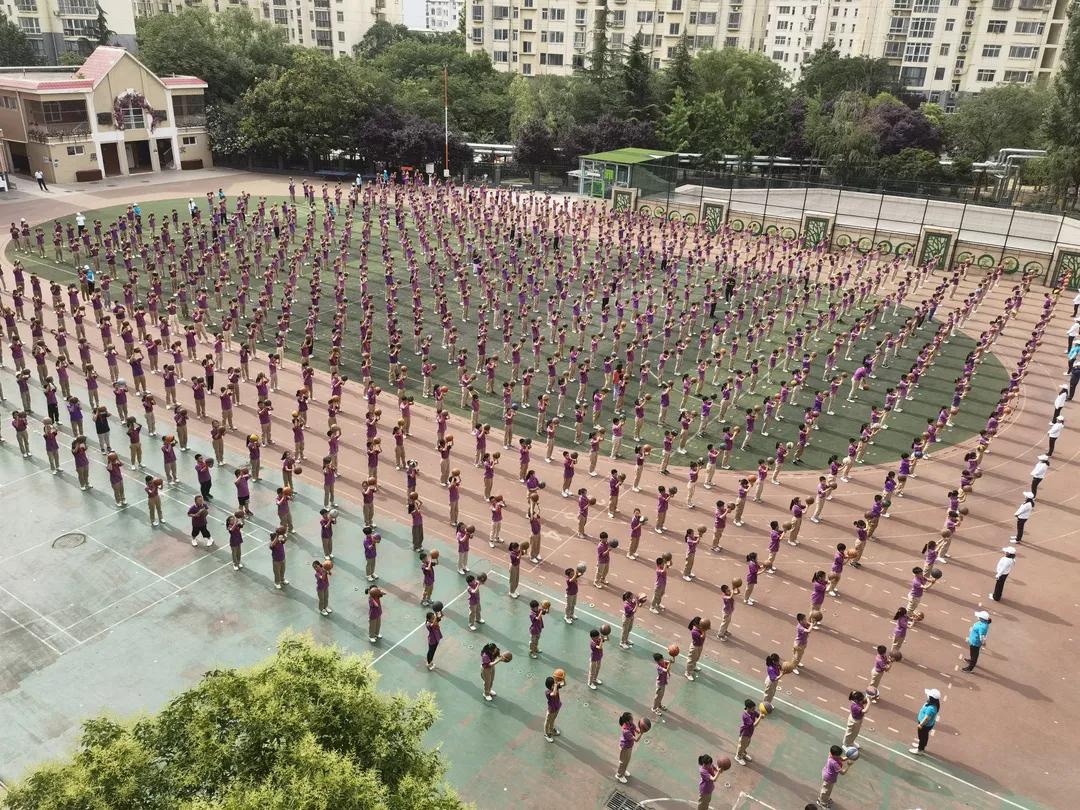 郑州金水区文化绿城小学详情介绍,新建路小学夯实五项管理