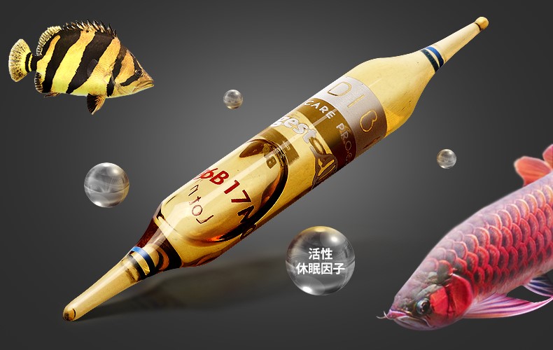 酸奶可以代替硝化细菌吗,鱼缸加酸奶能建立硝化细菌吗