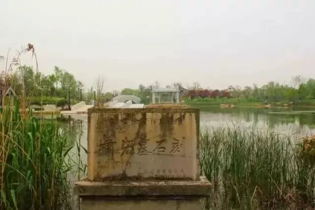 南京这些免费公园，让你任性玩个遍