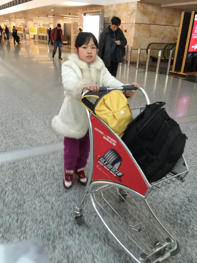 郑鑫绘画成长记录：线描篇（五）校园同学系列——创作