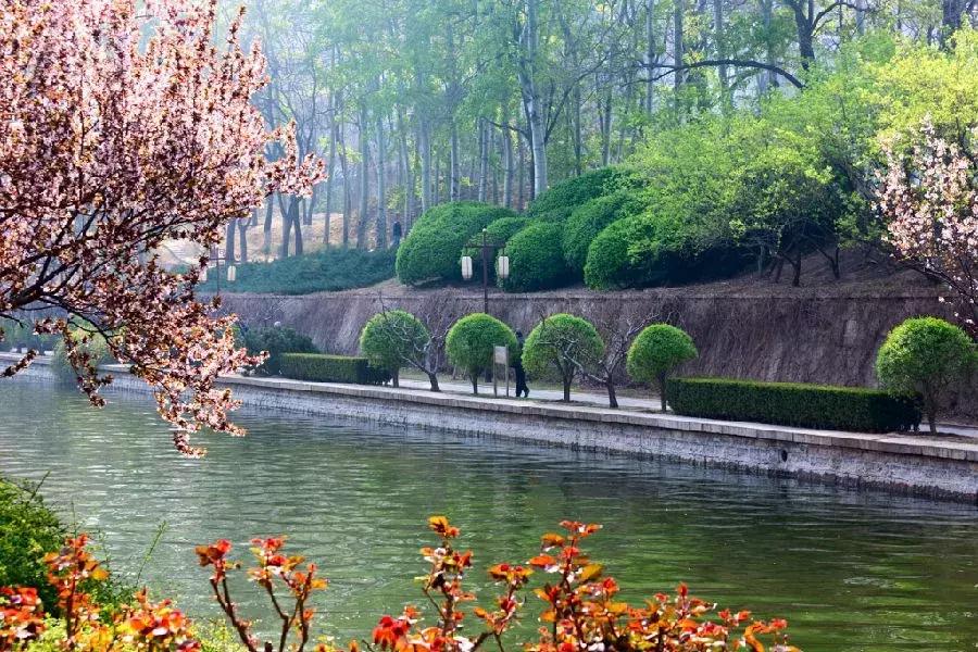 最适合赏花的花,视觉盛宴五种赏花名花供您选择