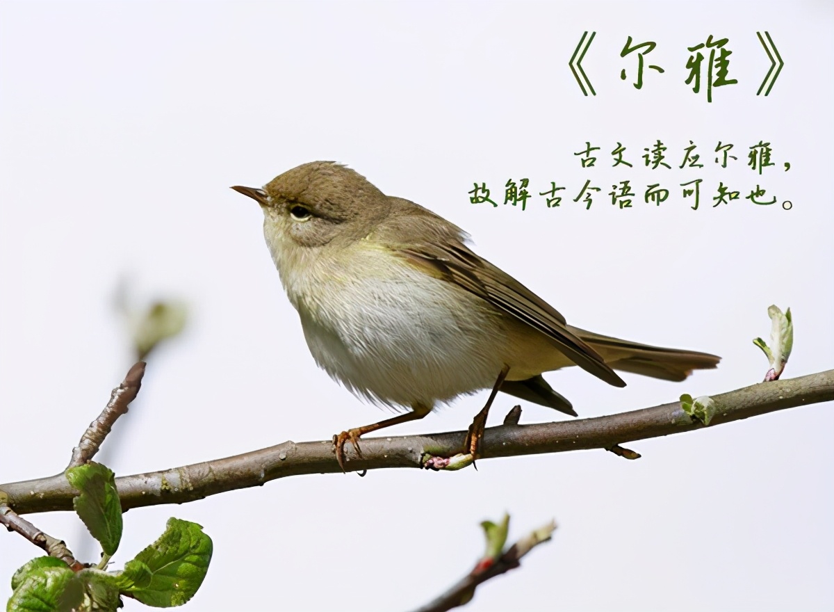 属于姻亲的亲属称谓,姻亲双方父母怎么称谓