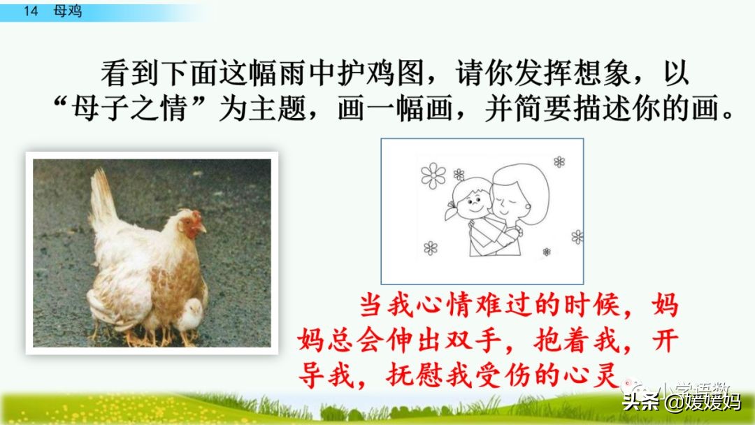 四年级下册第13课小练笔仿写母鸡,四年级下册14课母鸡的预习完整版