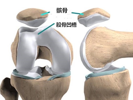 下蹲时膝关节疼痛可能是什么原因,膝关节下蹲到底时疼