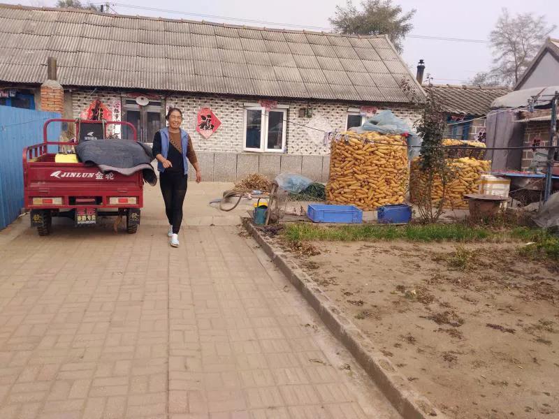 涓滈噷鏉戣档闀跨弽,杈藉畞濂戒汉韬竟濂戒汉2020