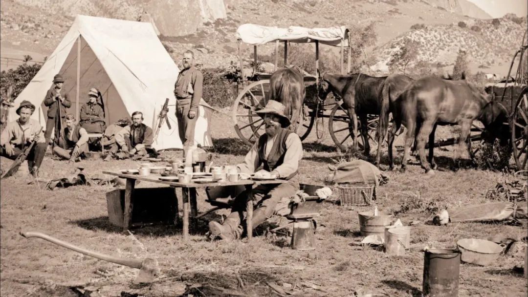 美国肺结核大流行时期,结核病为什么是白色瘟疫