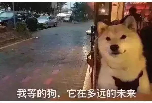 情人节注意安全,情人节避孕高峰期