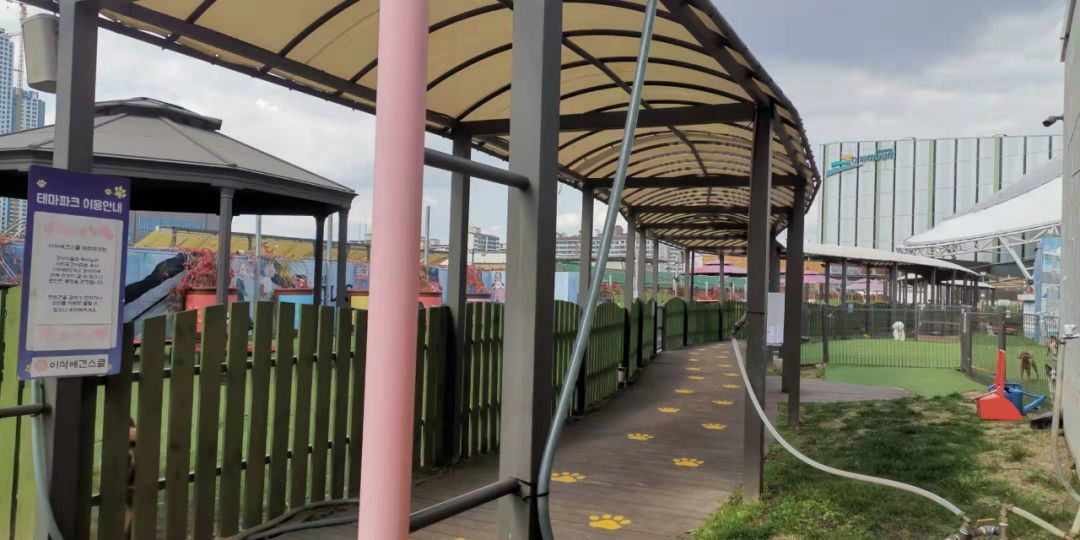 韩国宠物店推荐,韩国宠物店体验