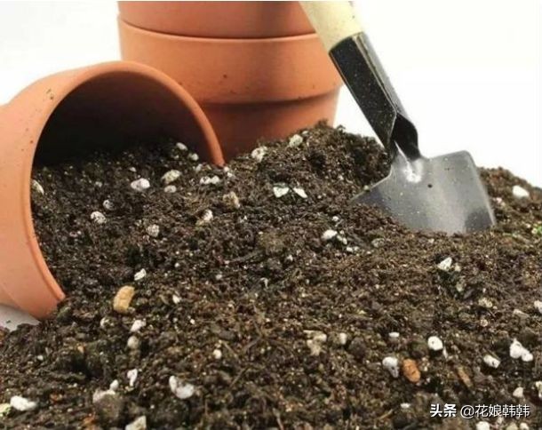 酸性土壤板结还是碱性土壤板结坏,土壤板结是怎么样的