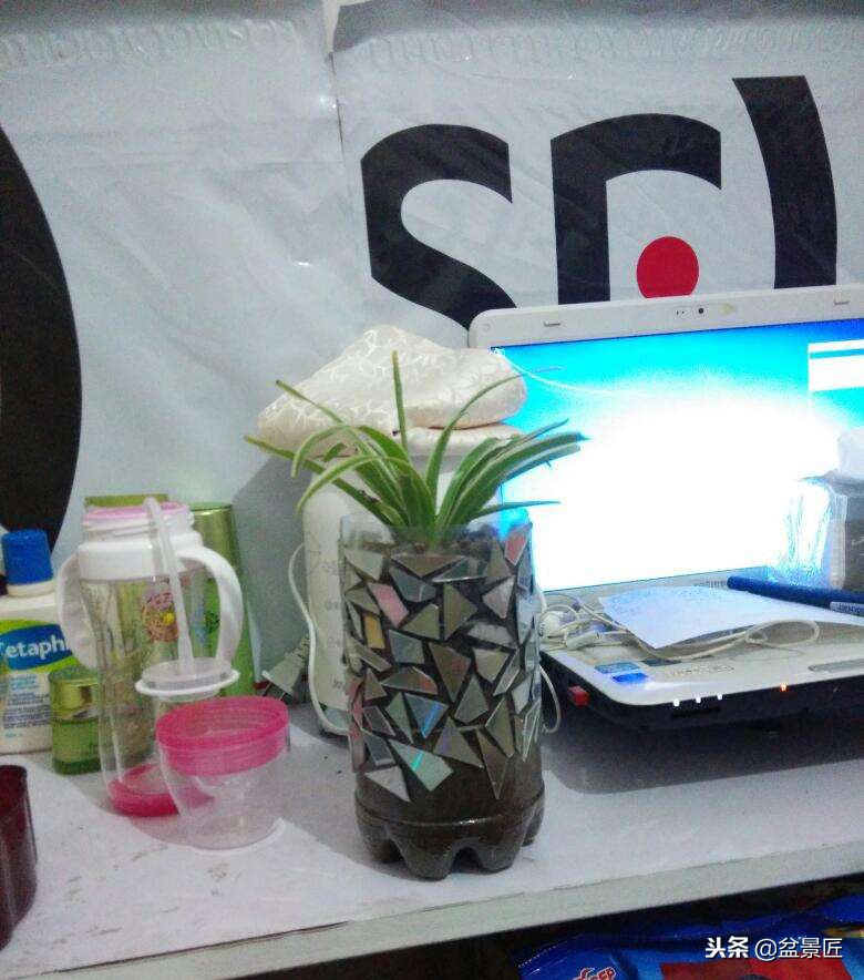 巧妙旧物改造塑料瓶变身手工花盆,旧物利用变废为宝制作花盆