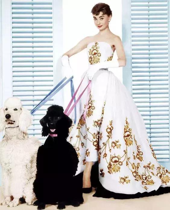 女装品牌排行榜前十名奢侈品牌,女装奢侈品牌