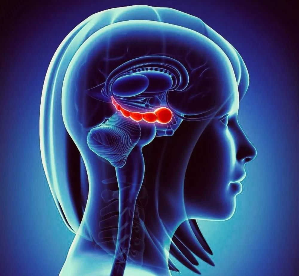 换血能不能保持年轻,换血能年轻