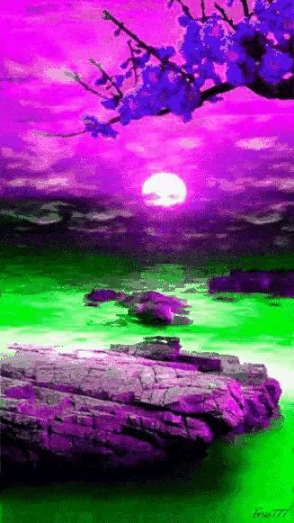 这是我见过最美的风景吗,这是我见过的最美的风景英语