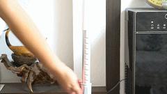 老爸评测良心电动拖把哪个好,九阳官方旗舰蒸汽拖把