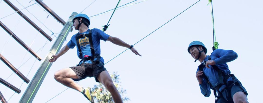 美国奥运会冠军最多的大学,美国奥运奖牌最多的大学