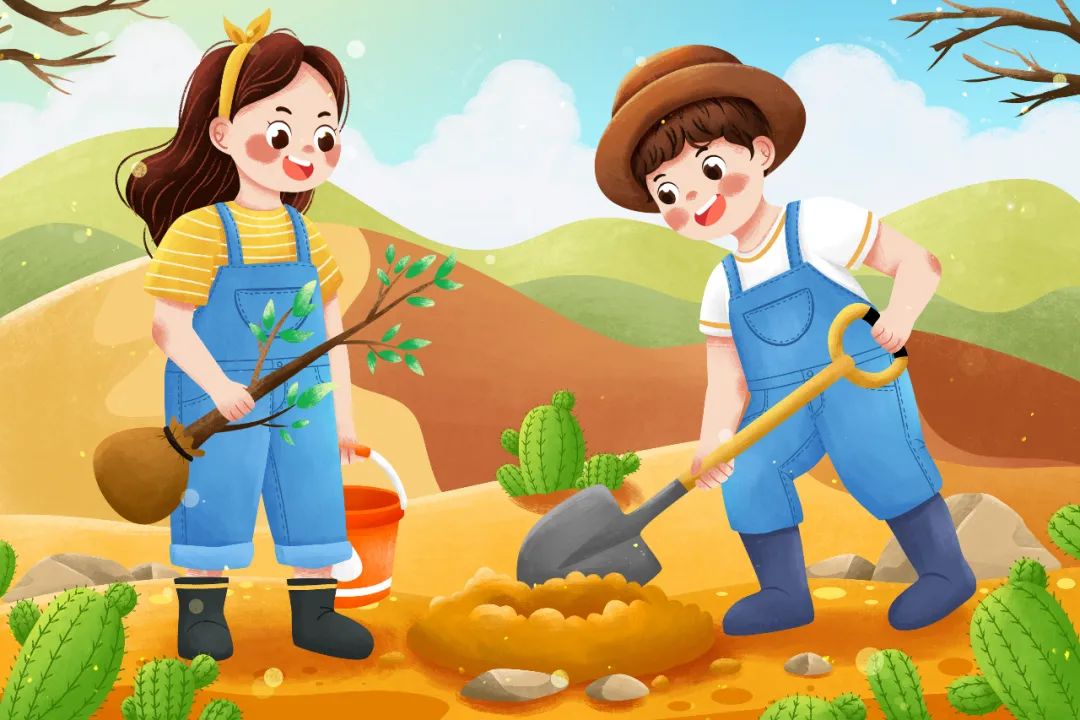 小刺猬植物名称是什么,跟刺猬一样的植物