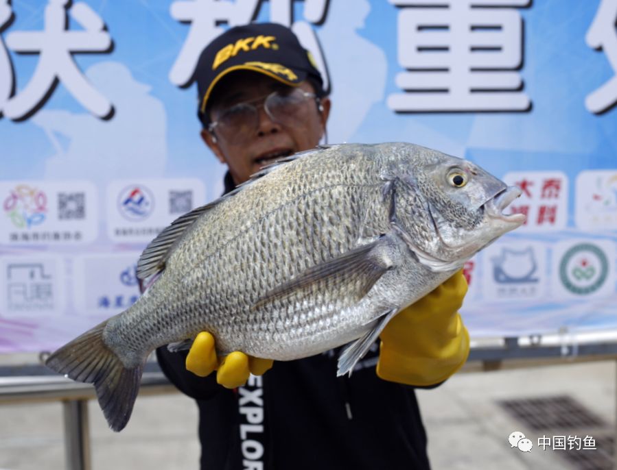 海钓节2019,桂山岛海钓节