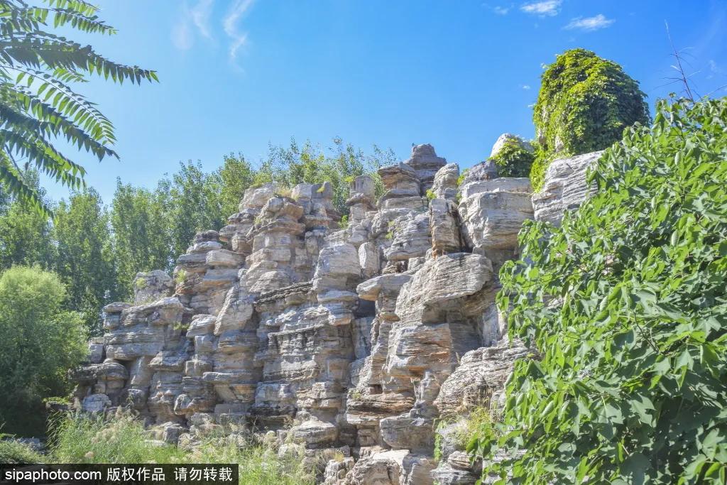 绿皮火车公园打卡景点,各种各样的免费公园