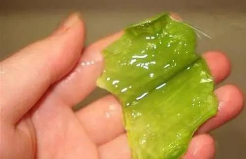 蚊虫叮咬性皮炎怎么快速止痒,一岁宝宝蚊虫叮咬如何快速止痒