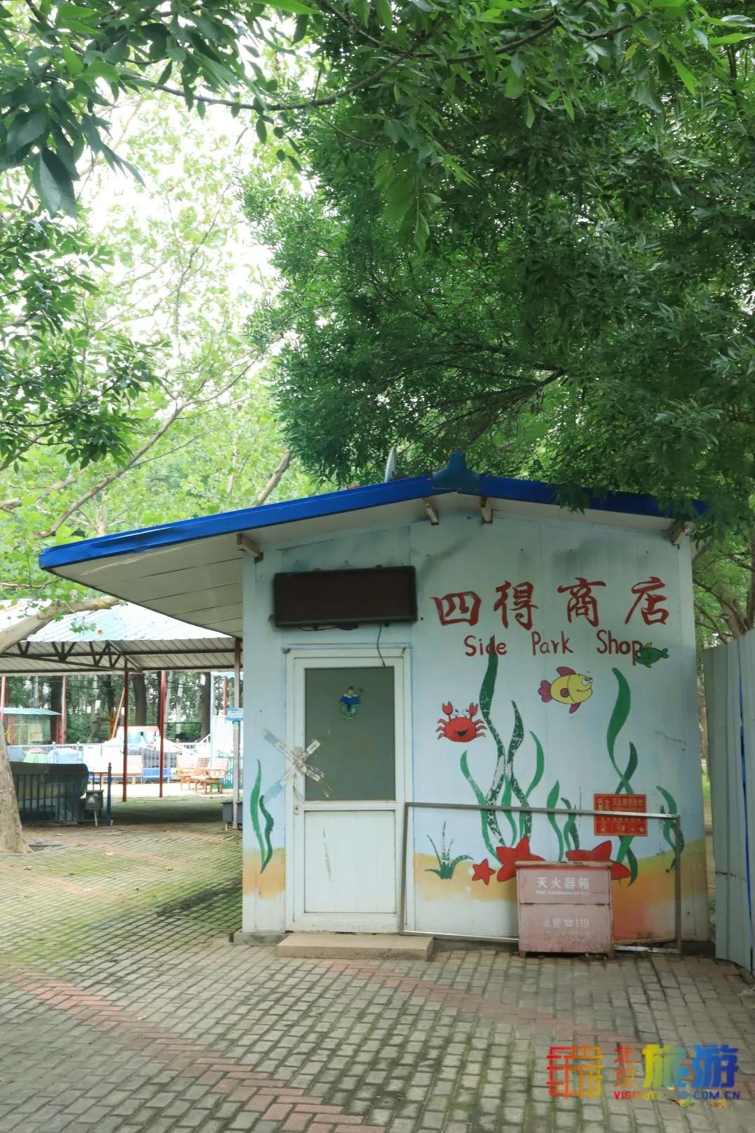 免费！市区就有“小森林”，花海芳香扑鼻！还有美好的祝福送给你