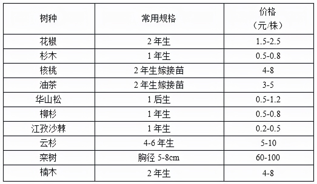 2022年秋季全国各地苗木市场行情,2021年春季苗木行情分析报告