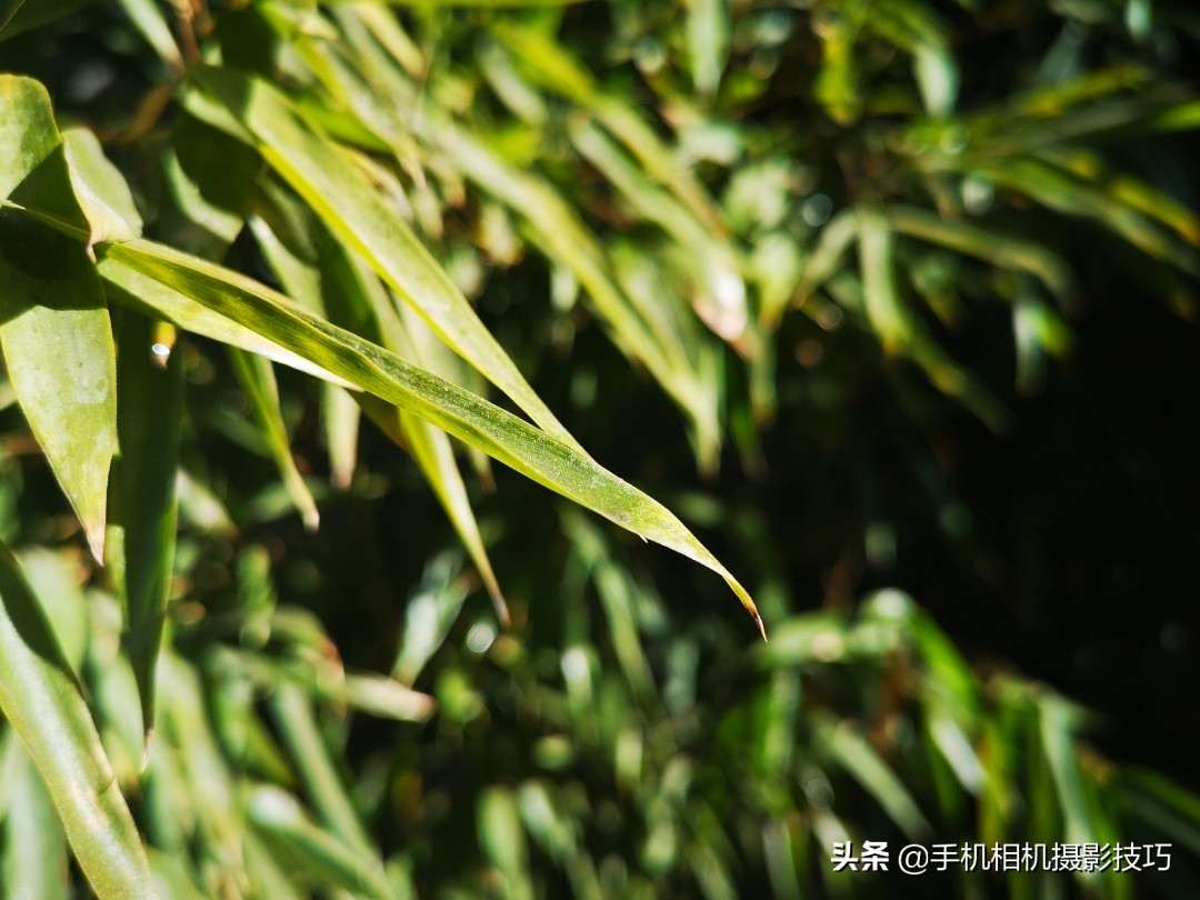 手机拍照下边的三个键在哪里设置,手机拍照的三个按键